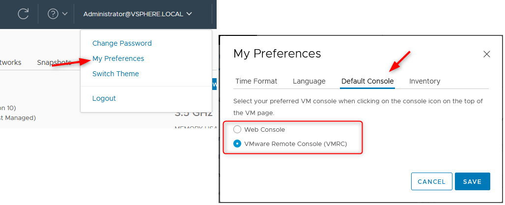 vSphere Web Client